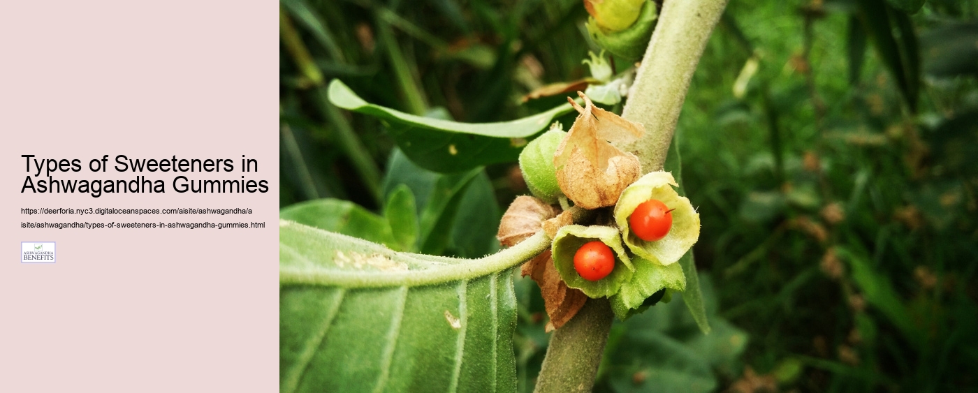 Types of Sweeteners in Ashwagandha Gummies