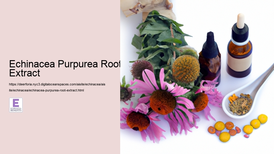 Echinacea Purpurea Root Extract