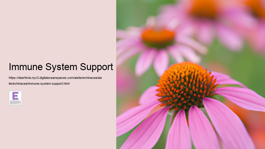 Immune System Support