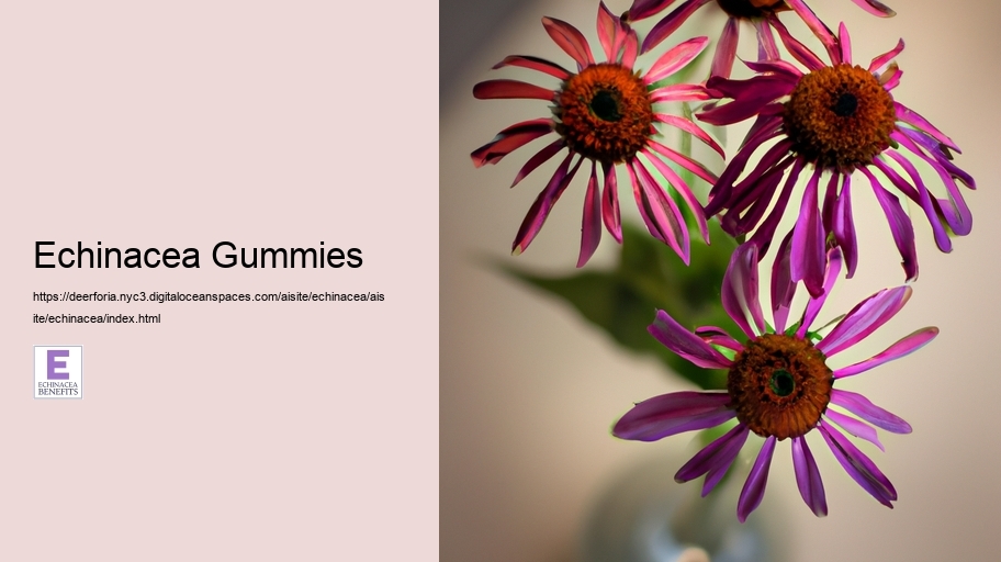 Echinacea Gummies