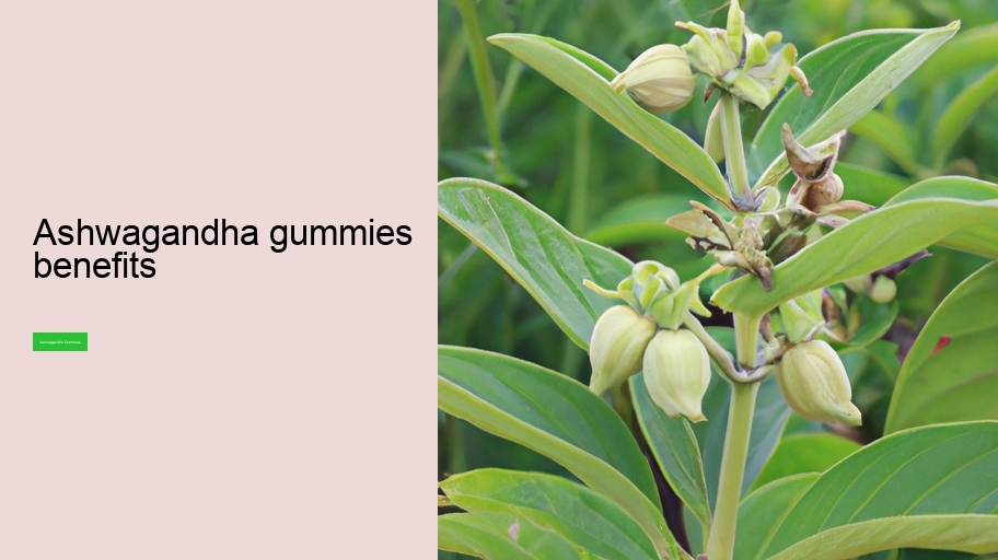 ashwagandha gummies benefits