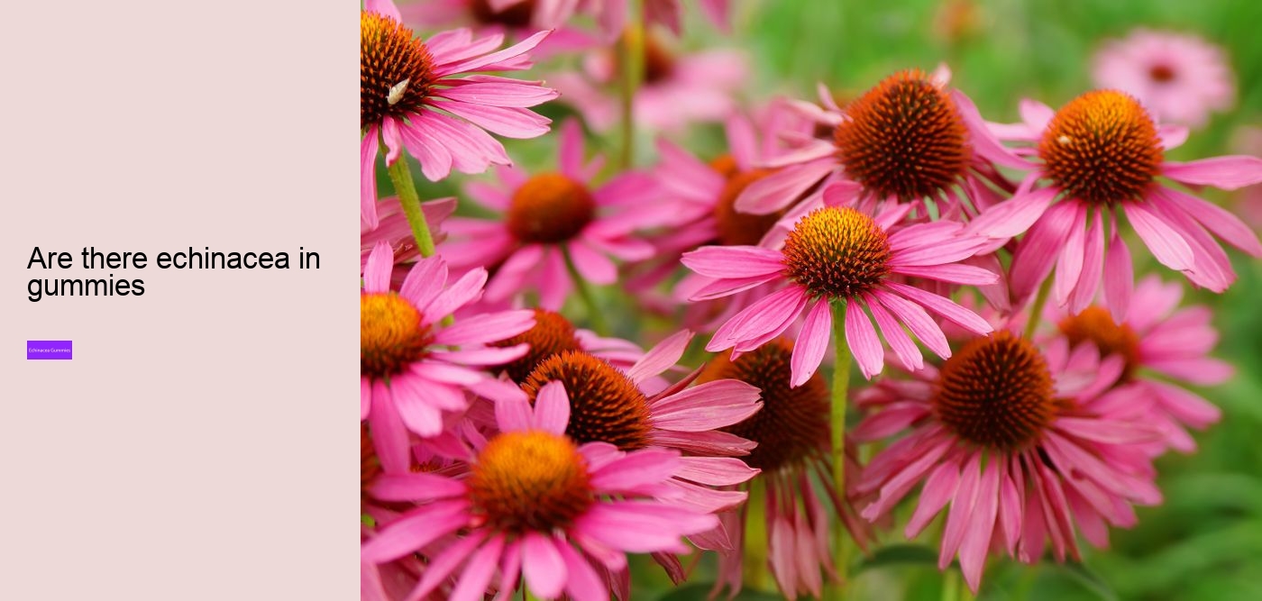 Can echinacea interfere with sleep?