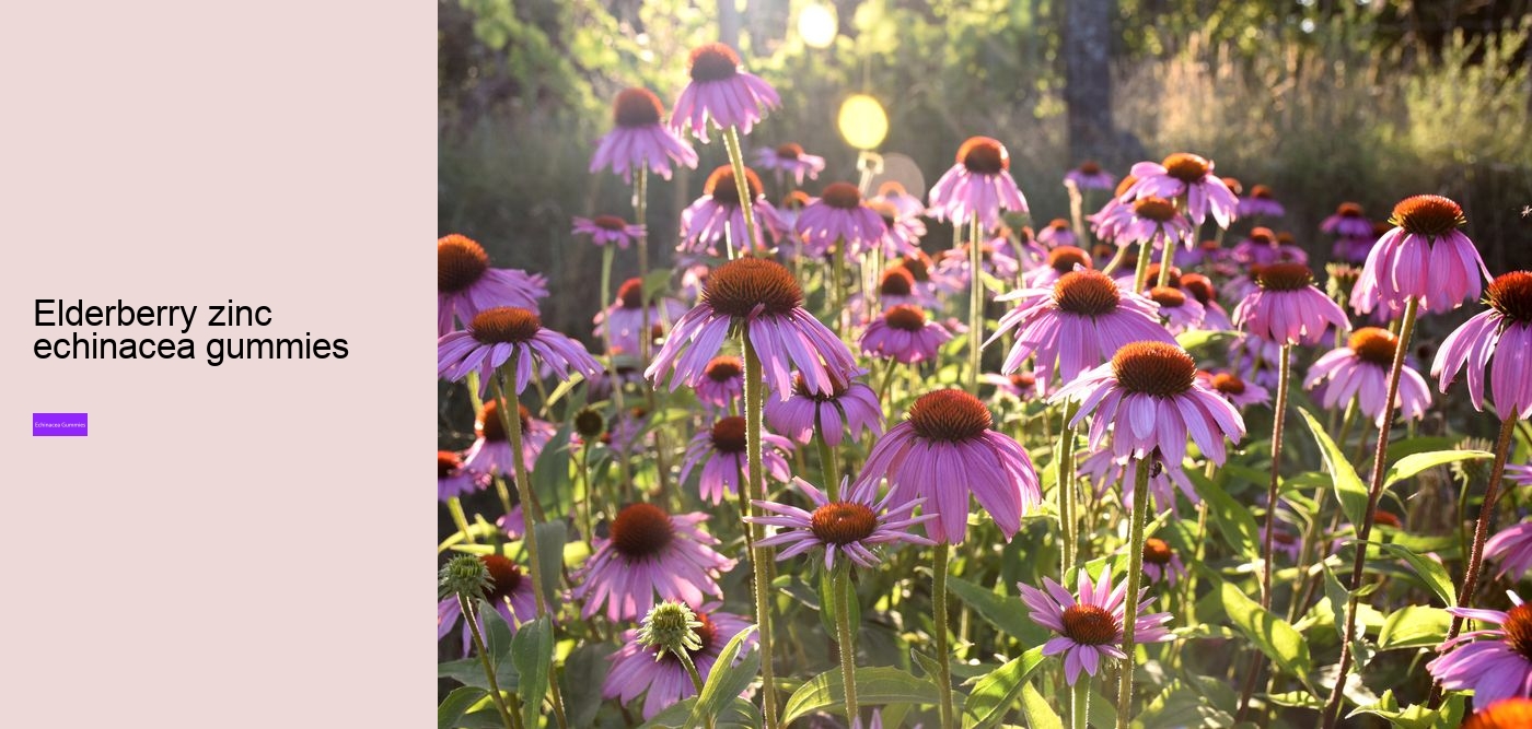 Will echinacea keep you awake?