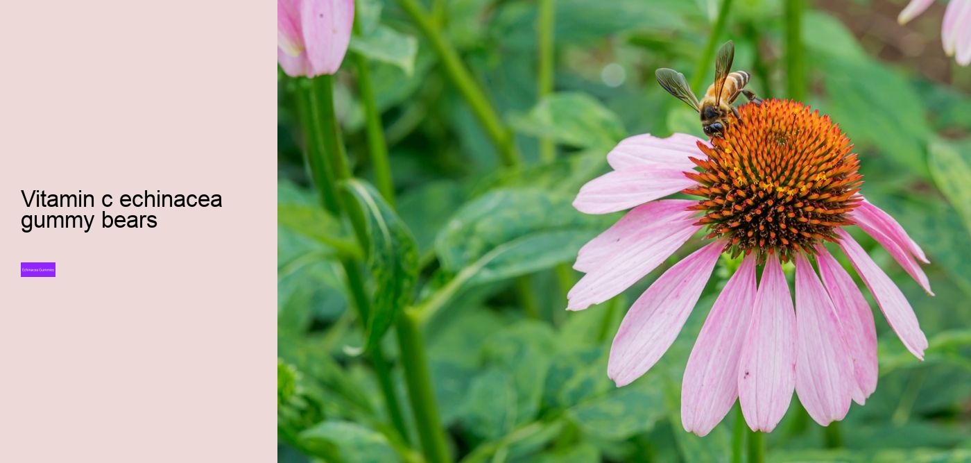 echinacea in gummy form