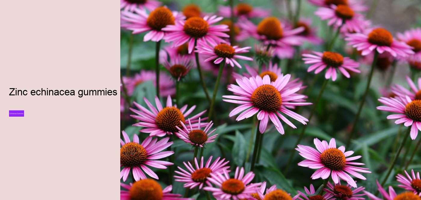 Does echinacea help when you are already sick?