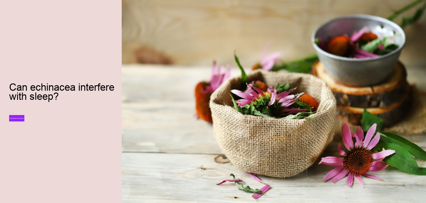 What does echinacea do for hormones?