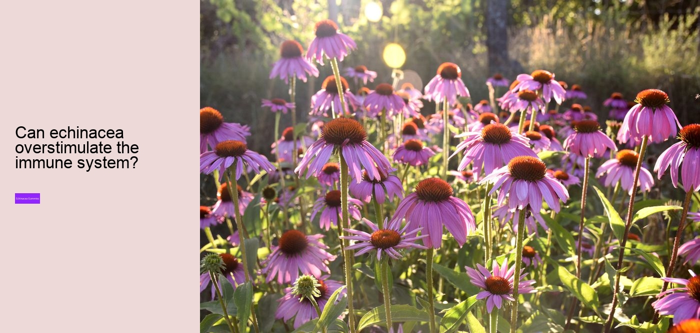 Can you take echinacea and vitamin C at the same time?