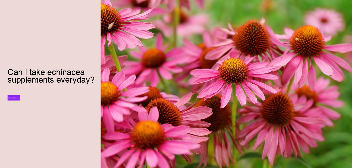 Is echinacea an anti-inflammatory?