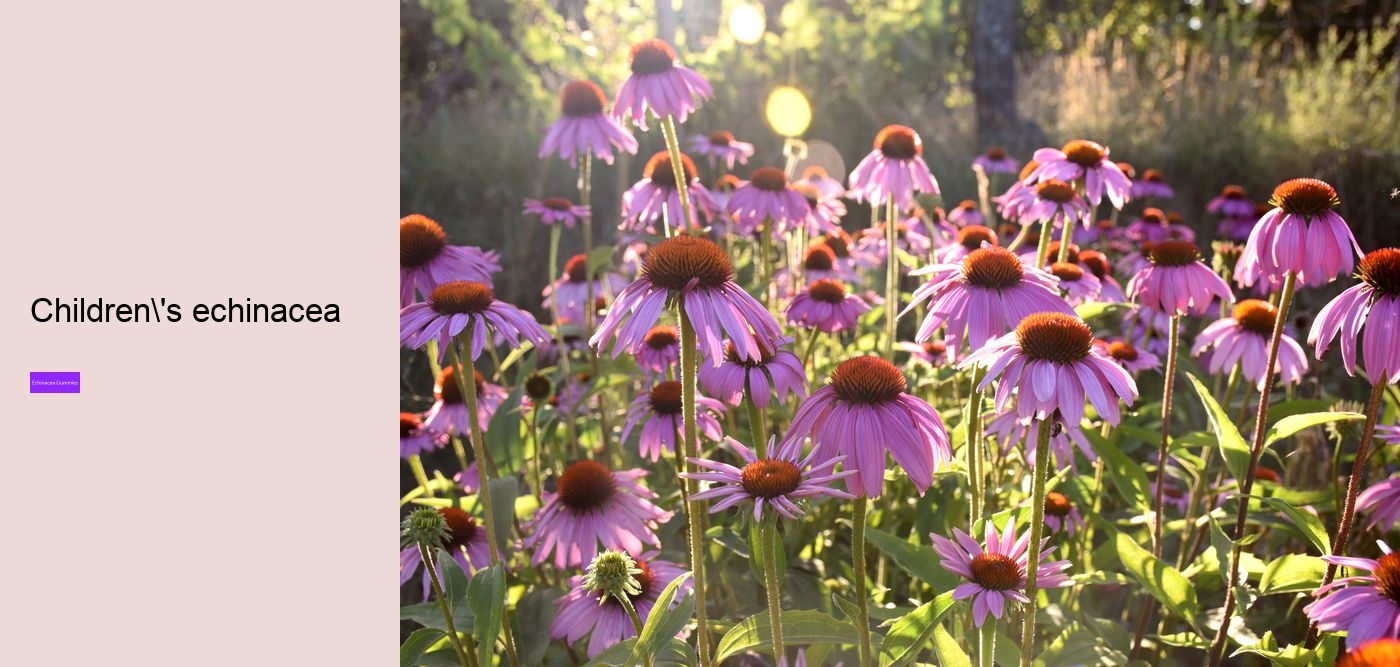 echinacea and zinc