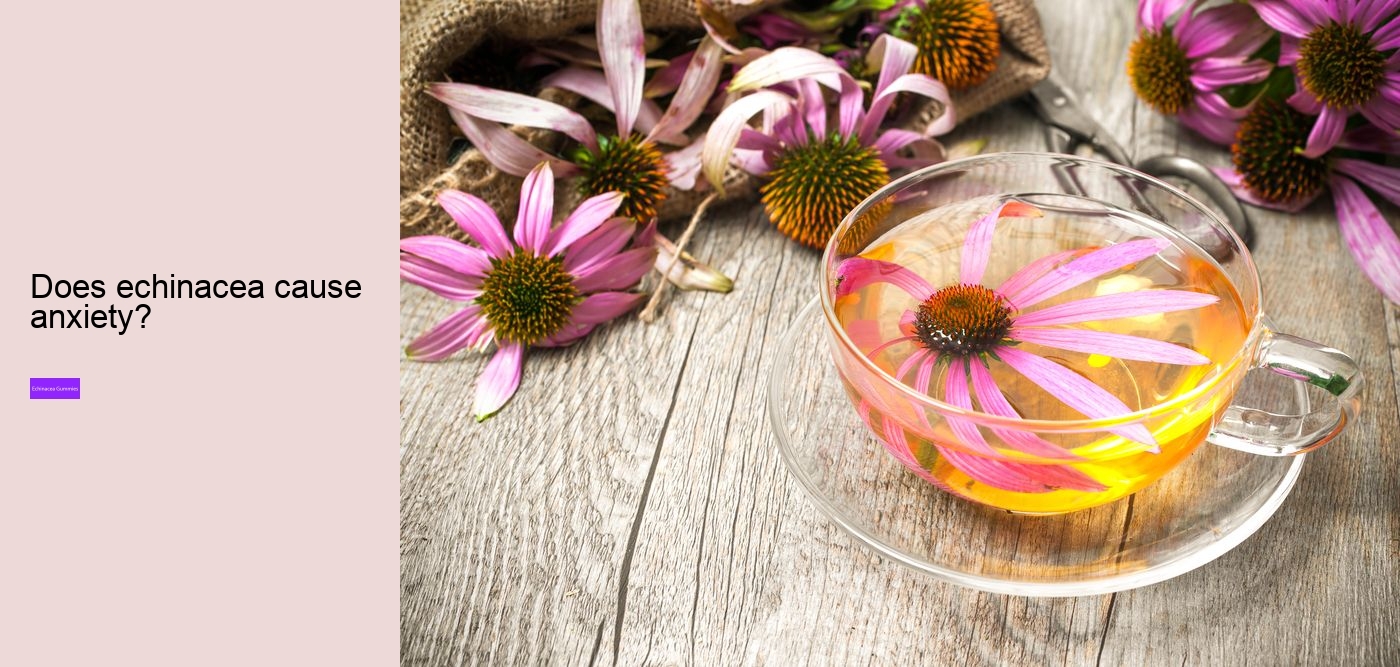 echinacea gummy bears