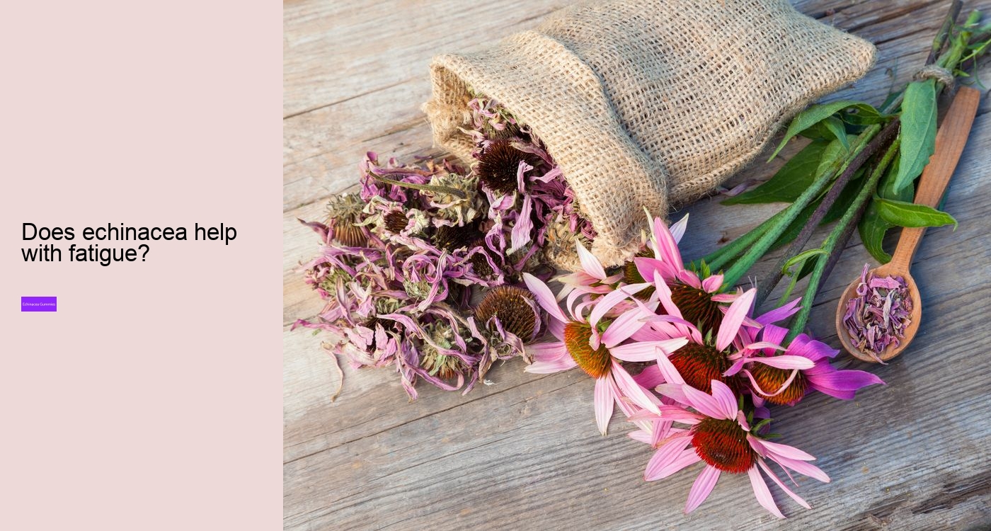 Does echinacea help with fatigue?