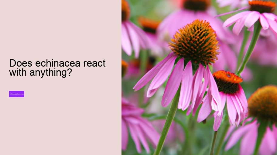 Does echinacea react with anything?