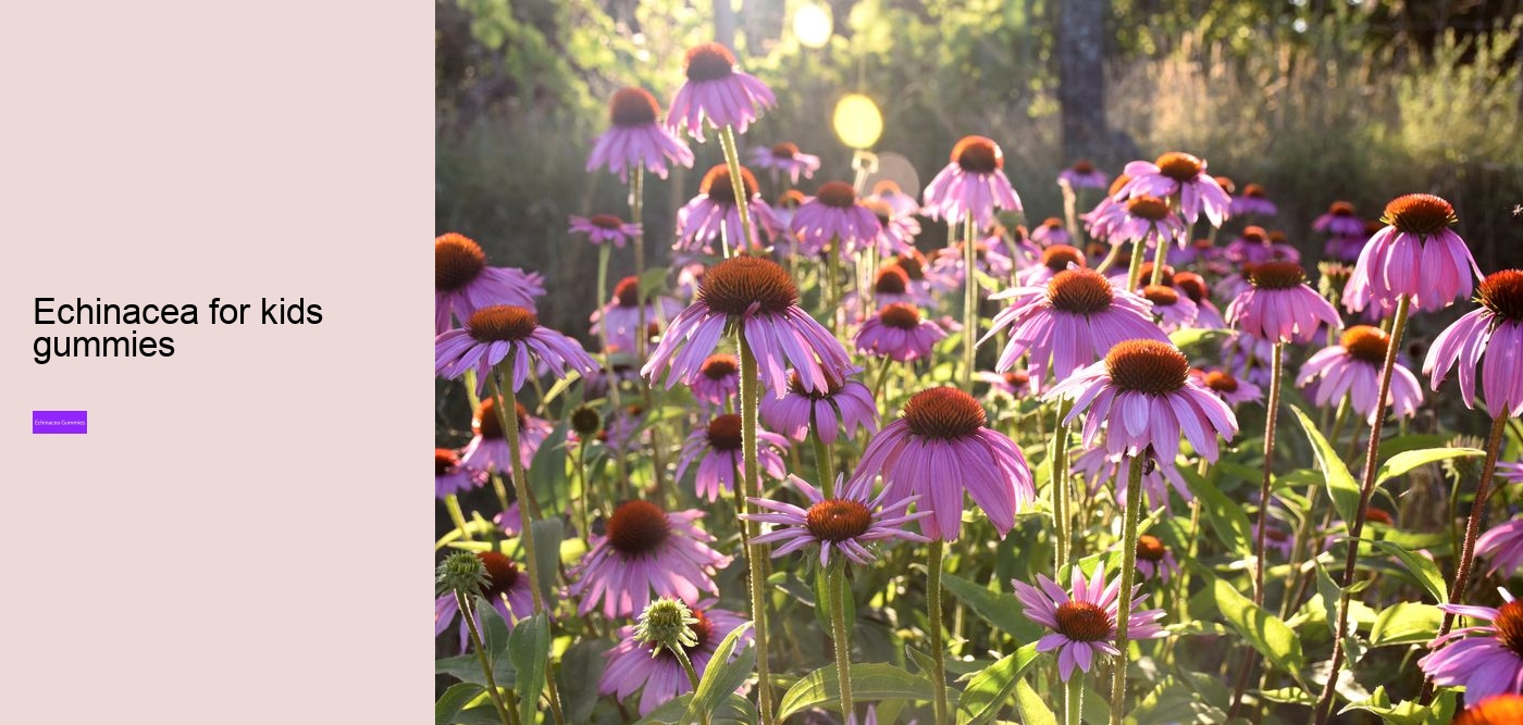 echinacea zinc