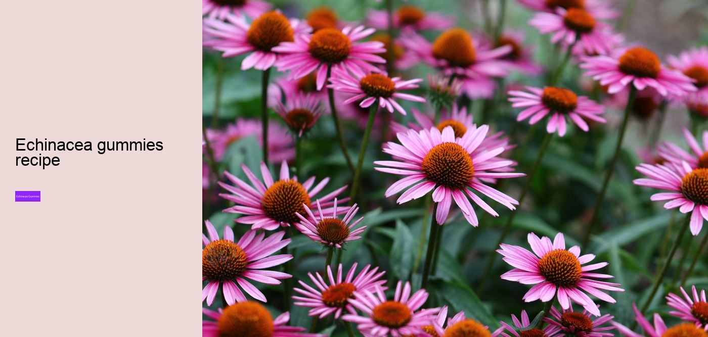 Why not take echinacea on an empty stomach?