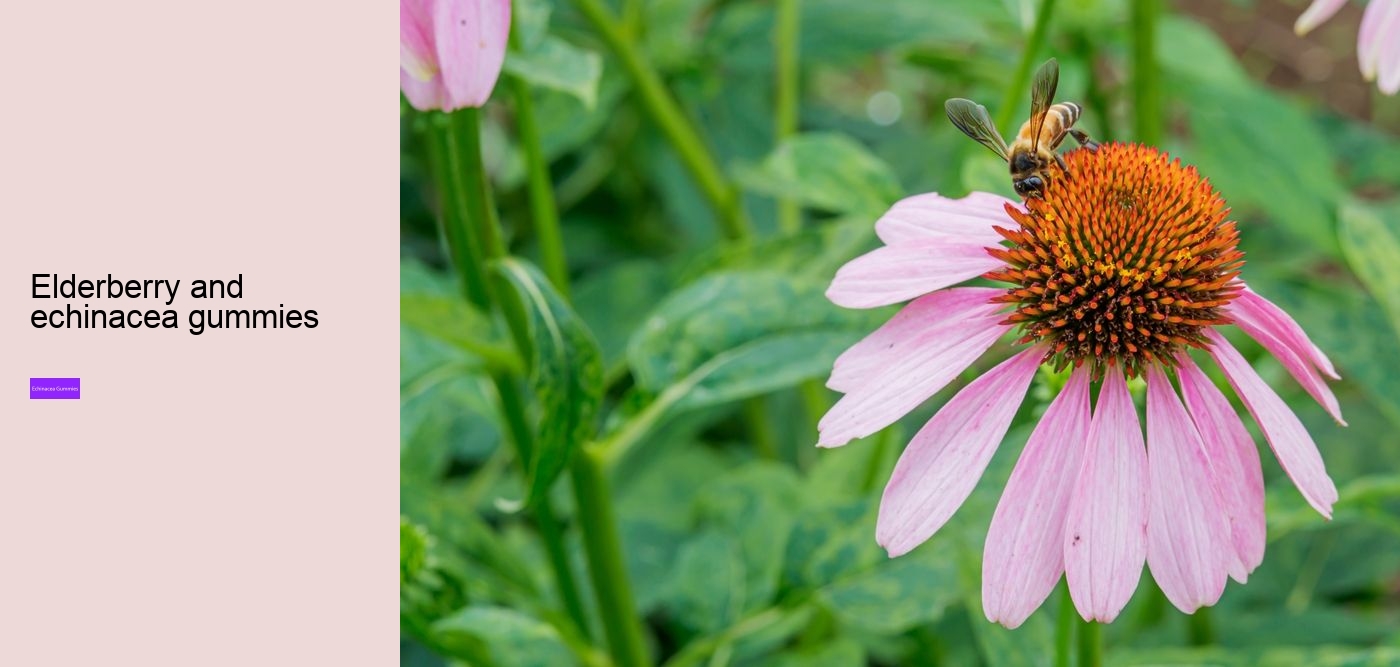 Does echinacea give you energy?