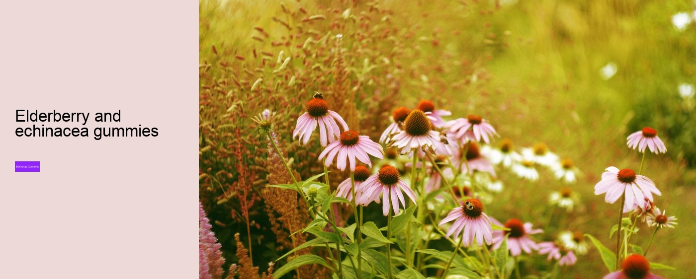 zinc and echinacea gummies