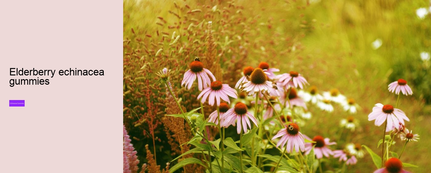 kids echinacea gummy