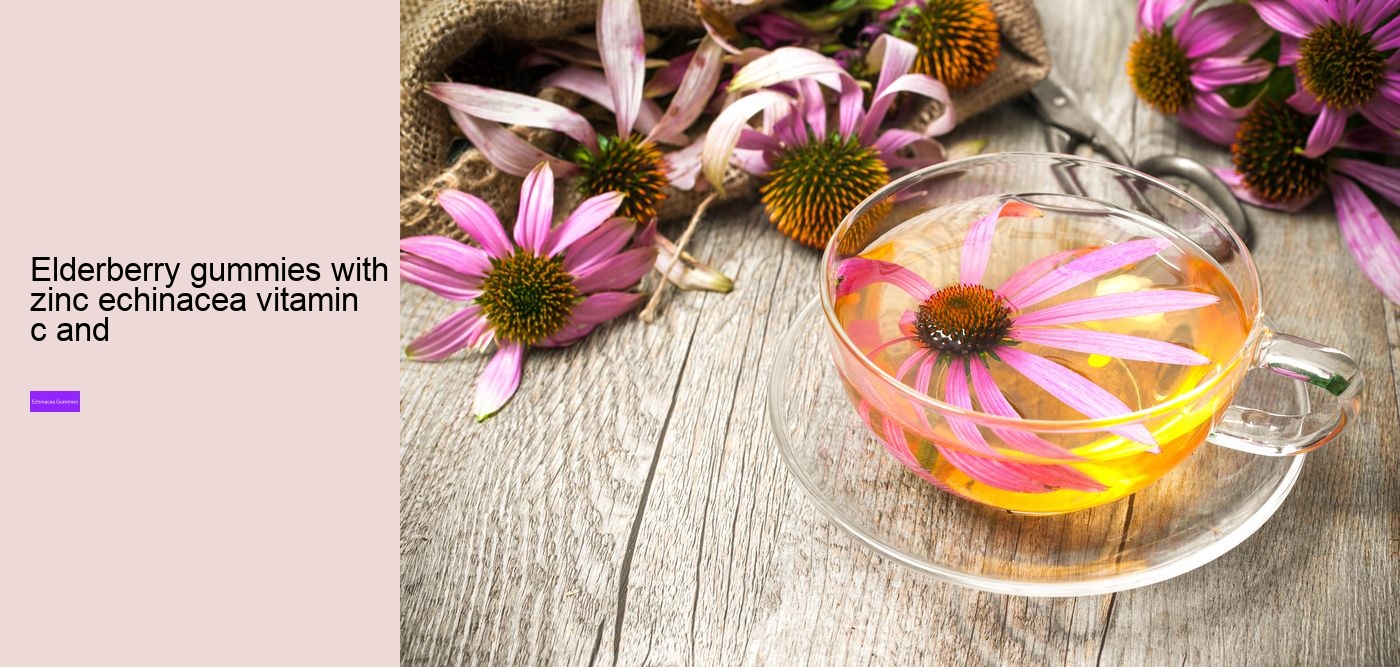 echinacea vitamin c zinc gummies