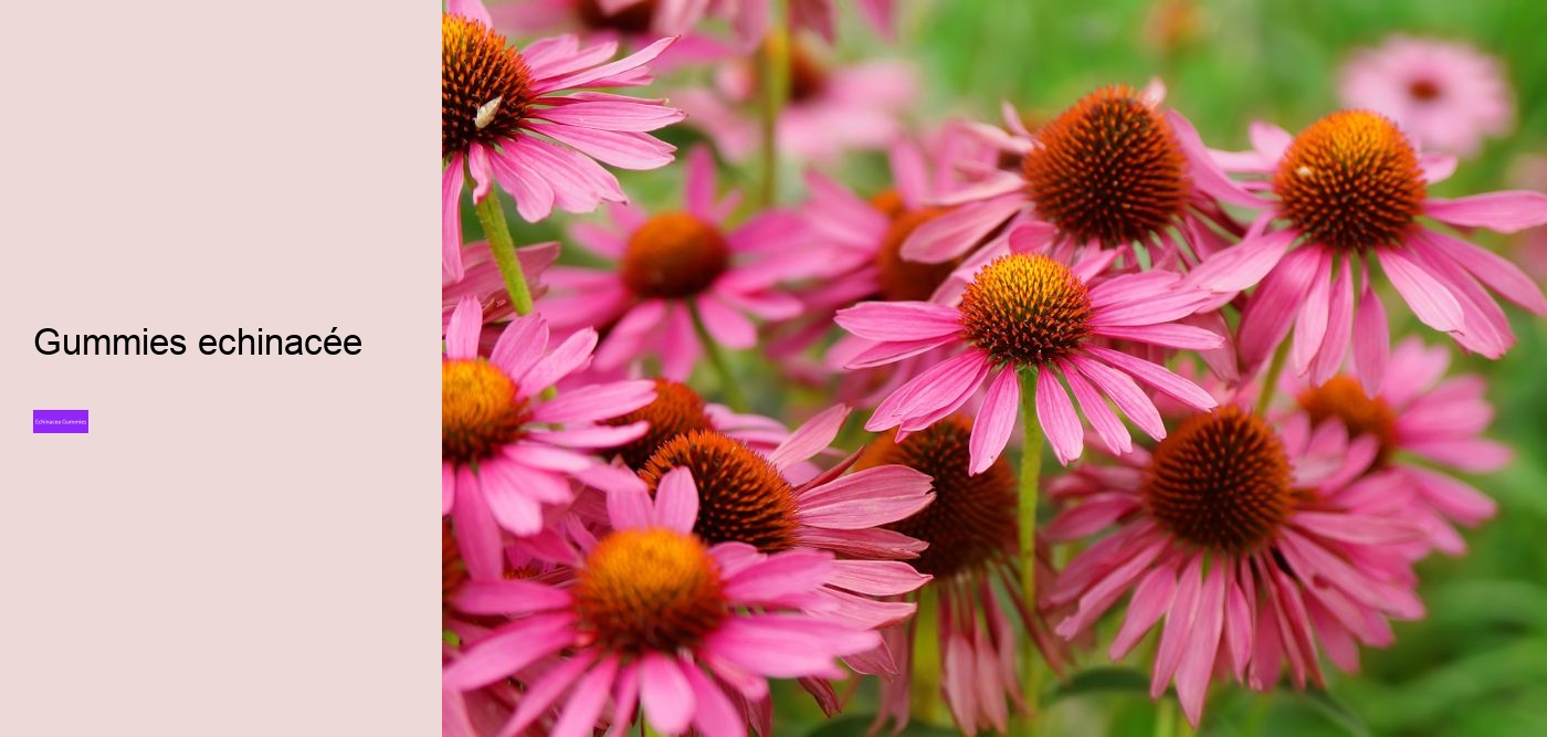 Is echinacea an anti-inflammatory?