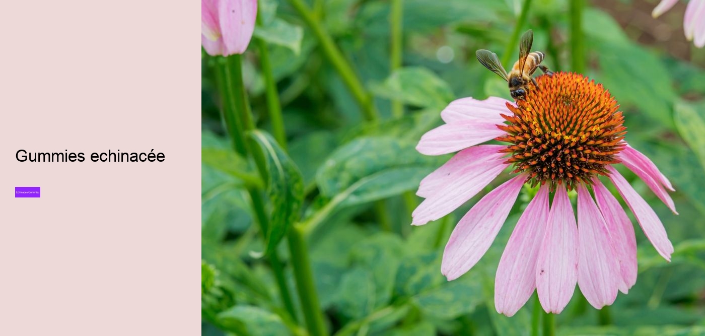 Does echinacea increase histamine?