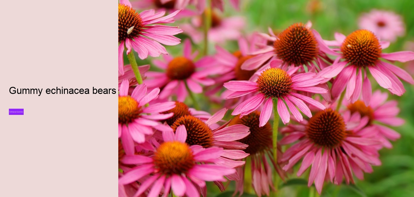 Does echinacea react with anything?