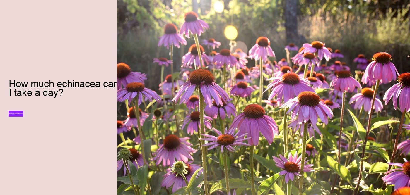 can i get echinacea in gummies