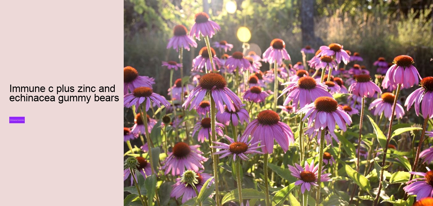 What does echinacea do for hormones?