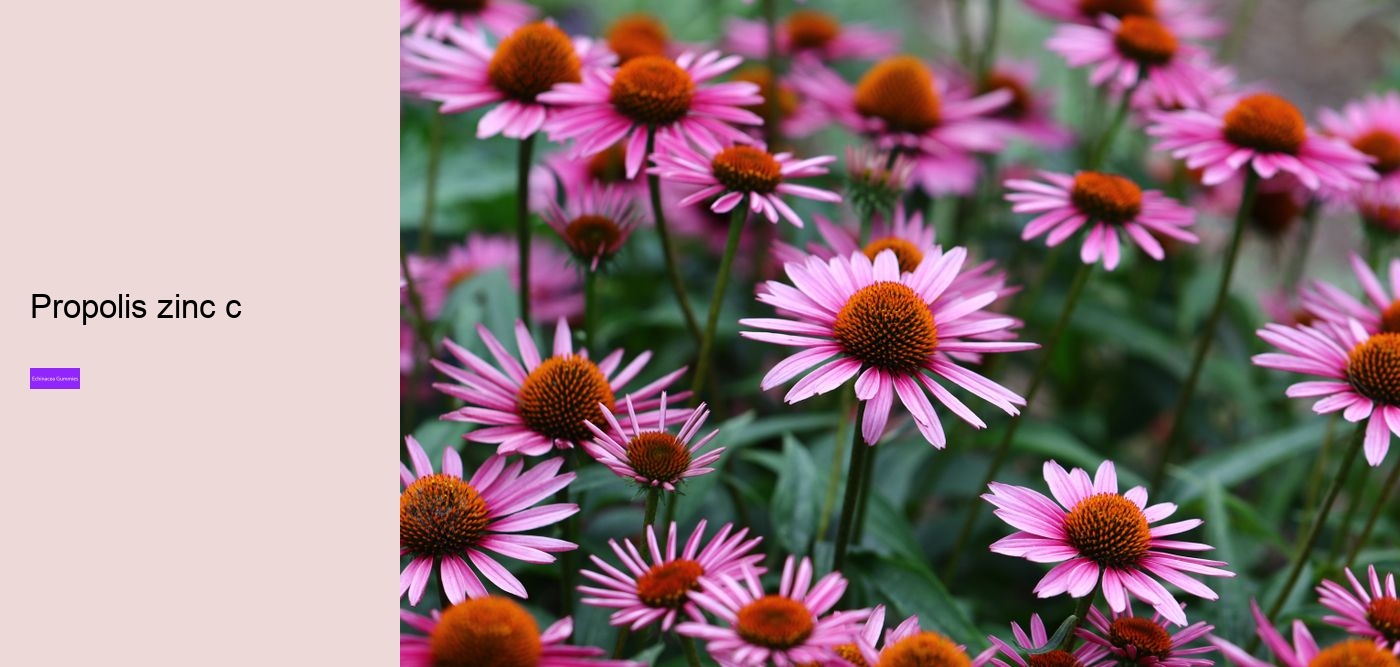 gummies vitamins zinc and echinacea