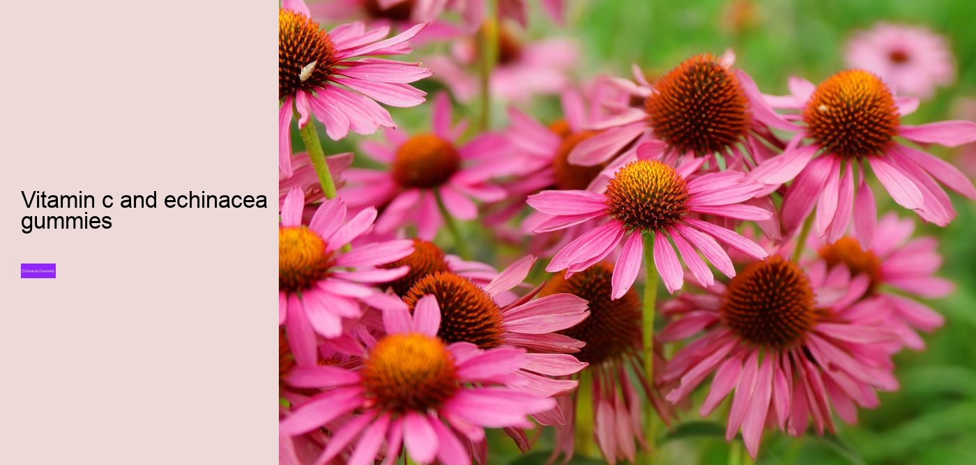 echinacea for kids