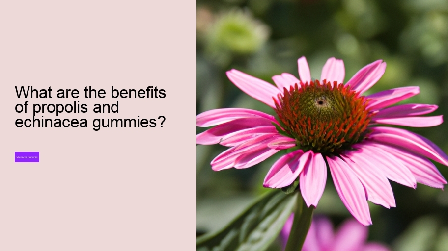 What are the benefits of propolis and echinacea gummies?