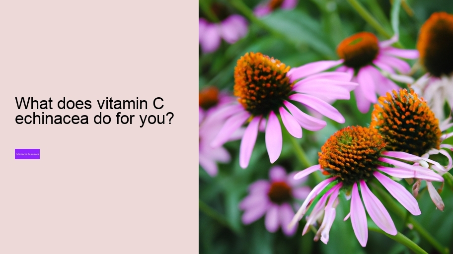 What does vitamin C echinacea do for you?