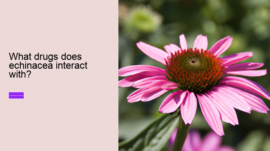 What drugs does echinacea interact with?