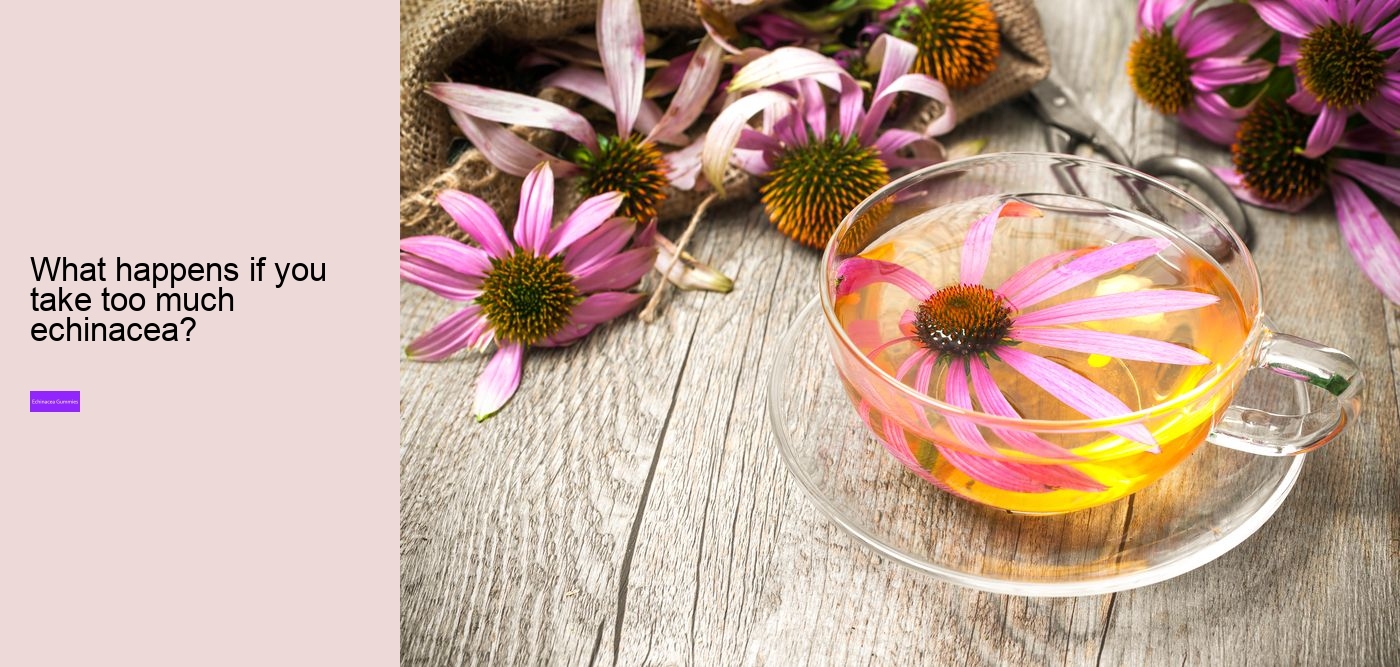 Does echinacea give you energy?