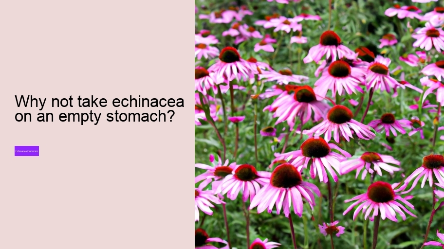 Why not take echinacea on an empty stomach?