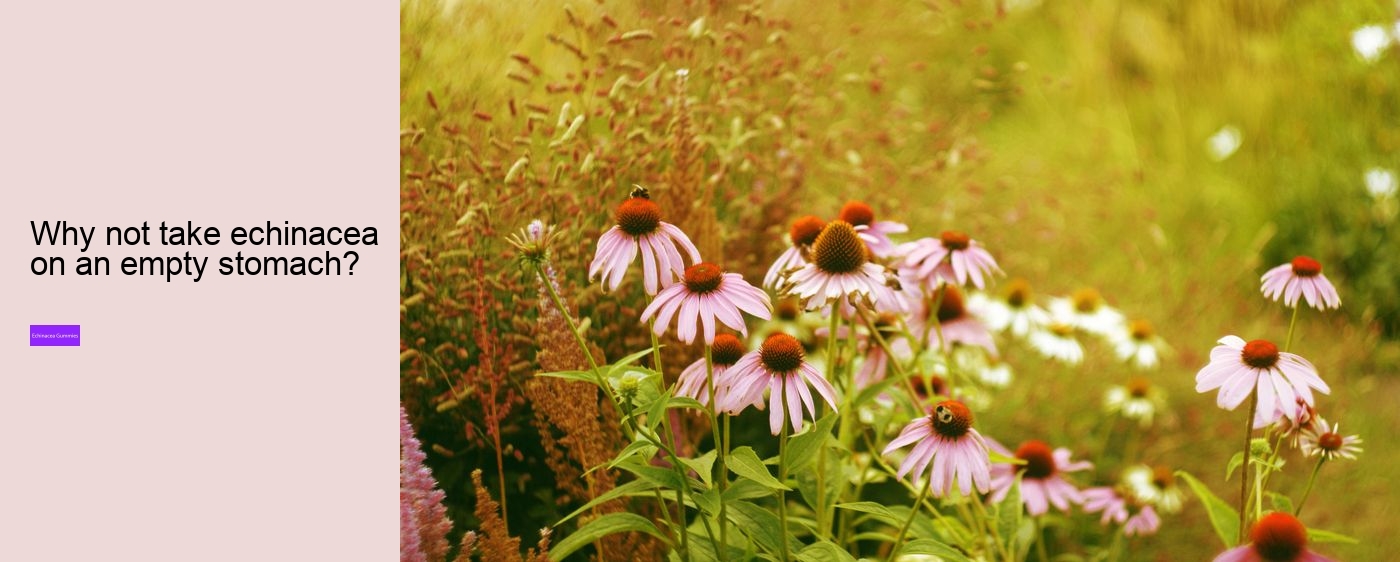 elderberry echinacea gummies