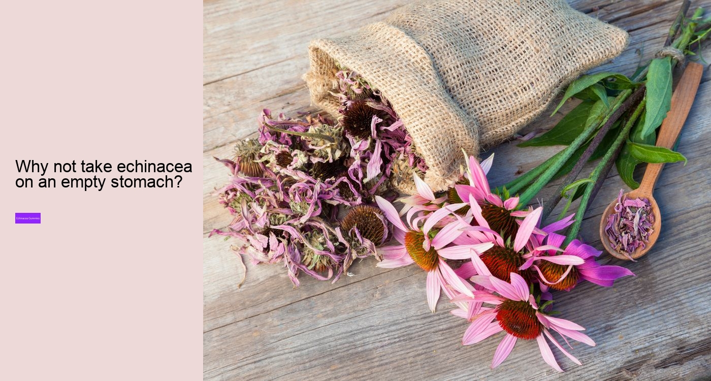 What to avoid when taking echinacea?