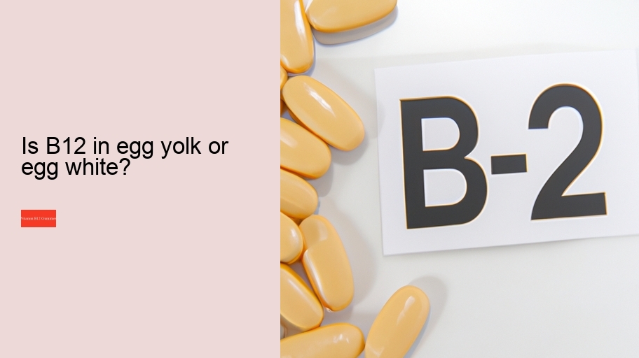 Is B12 in egg yolk or egg white?